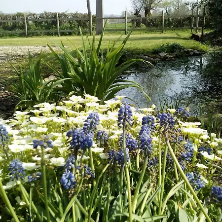 Affittacamere La Hulotte Au Col 3*